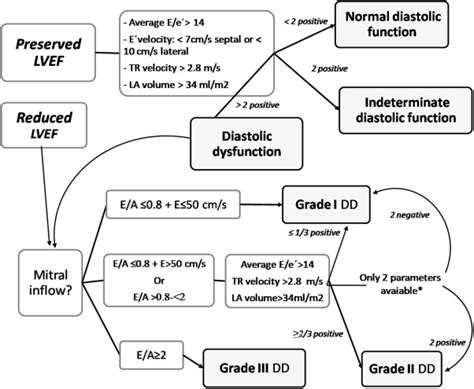 Recommendations for the Evaluation of Left Ventricular Diastolic 